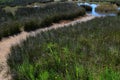 Sandy passsage leading towards coast marshland near healing muds of Nin, Croatia, Adriatic