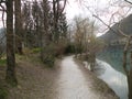 sandy path along the lake with many trees