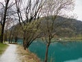 Sandy path along the lake with many trees