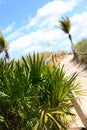 Sandy path on beach