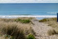 Sandy path through dunes to ocean beach at Mount Maunganui Royalty Free Stock Photo