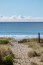 Sandy path through dunes to ocean beach at Mount Maunganui Royalty Free Stock Photo