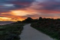 Sandy path leading along the shore between beach and forest during a gorgeous sunrise Royalty Free Stock Photo