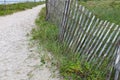 Sandy path leading to the beach Royalty Free Stock Photo