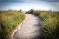 sandy path leads over the dunes to the Baltic Sea beach Royalty Free Stock Photo