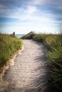 sandy path leads over the dunes to the Baltic Sea beach Royalty Free Stock Photo