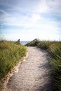 sandy path leads over the dunes to the Baltic Sea beach Royalty Free Stock Photo