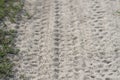 Sandy path macro with bike tire trail Royalty Free Stock Photo