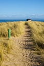 Sandy path through Marram Grass Royalty Free Stock Photo