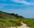 A sandy path on an Outer Banks Island through tall marsh grass