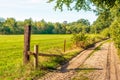 Sandy path between the pasture and the edge of the forest