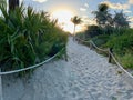 Sandy path to the beach. Sunrise and palm trees Royalty Free Stock Photo