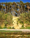 Sandy path to the trees on the Baltic Sea cliff in Hohen Wieschendorf