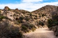 Sandy Pathway Leading into the Deep Desert