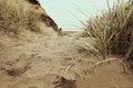 A Sandy Pathway leads over a Hill and down the Beach