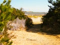 Sandy pathway to shore