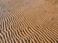 Sandy pattern and texture on the beach created by waves and sea breezes on sunset. Wet sand beach background for summer holiday. Royalty Free Stock Photo