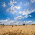 Prairie under a cloudy sky and hot sparkle sun Royalty Free Stock Photo