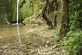 Sandy riverbed surrounded by green trees