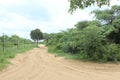 Sandy road in the African Bushveld