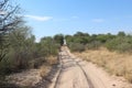 Sandy road in the African Bushveld Royalty Free Stock Photo