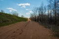 A sandy road on the edge of the spring forest stretching into the distance Royalty Free Stock Photo