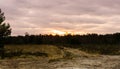 Sandy road in a heather landscape during sunset, a colorful effect in the sky and clouds Royalty Free Stock Photo