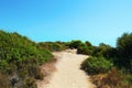 Sandy road at Karidi beach Vourvourou, Greece Royalty Free Stock Photo