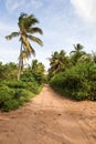 Sandy road in Mozambique, Africa.