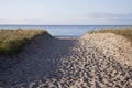 Sandy road to the beach with grass on the sides overlooking the sea horizon Royalty Free Stock Photo