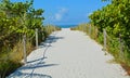 A Sandy Roped Path to a Blue Sea on the Beach