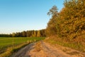 Sandy rural road between green agricultural field and bushes. Autumn evening with clear blue skies and orange light of the setting