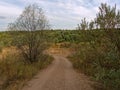 Sandy rural road near the river