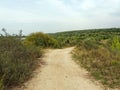 Sandy rural road near the river