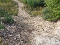 Sandy rural road near the river