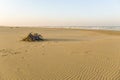 Sandy sea beach with bike Royalty Free Stock Photo