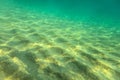 Sandy sea bottom, small sand dunes Royalty Free Stock Photo