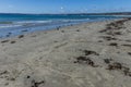 sandy sea shore with shoe prints Royalty Free Stock Photo