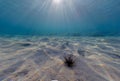 Sandy seabed of the Mediterranean Royalty Free Stock Photo