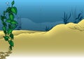 Sandy Seabed with Water Plants Royalty Free Stock Photo