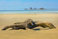 Sandy shallow on the Ob River with a snag Royalty Free Stock Photo