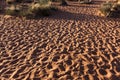 Sandy Shore With Footprints Royalty Free Stock Photo