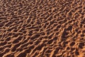 Sandy Shore With Footprints Royalty Free Stock Photo