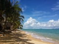 The sandy shores of the azure sea. Waves and palm trees.