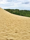 Sandy slope of the Dune of Pilat in France Royalty Free Stock Photo