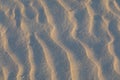 Sandy surface with waves formed by the wind Royalty Free Stock Photo