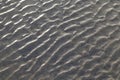 Sandy Texture at Coxs Bazar Sea Beach of the Bay of Bengal
