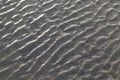 Sandy Texture at Coxs Bazar Sea Beach of the Bay of Bengal Royalty Free Stock Photo