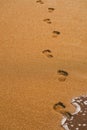 Sandy traces of human legs Royalty Free Stock Photo