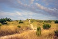 a sandy trail leading up a grass covered sand dune Royalty Free Stock Photo